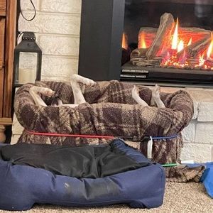 Meet your Posher, Sue